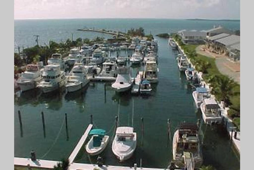 Licensed Mgr - 2/2 Villa - Oceanfront Beach Resort - Saltwater Lagoon & Marina! Key Largo Esterno foto